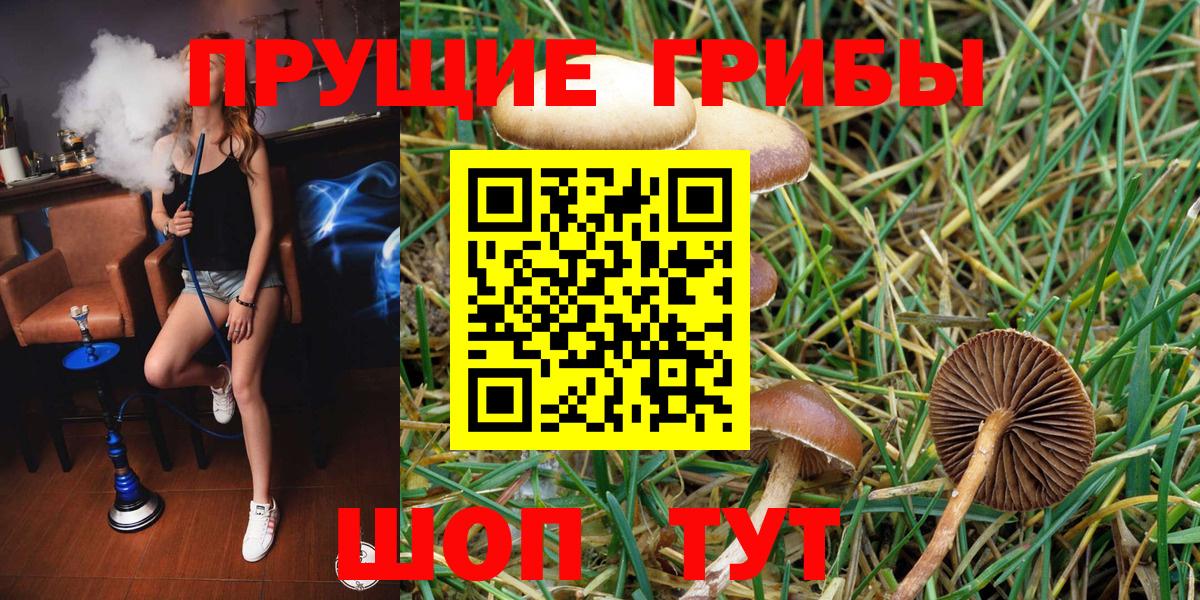 Псилоцибиновые грибы MAGIC MUSHROOMS Электросталь