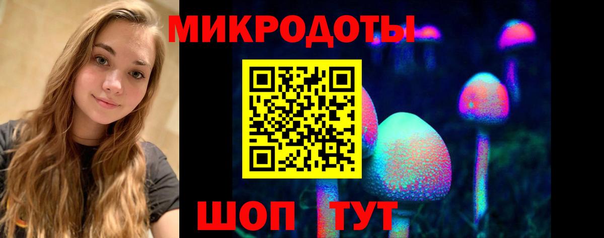 Электросталь  Псилоцибиновые грибы Psilocybe  Вход с VPN 